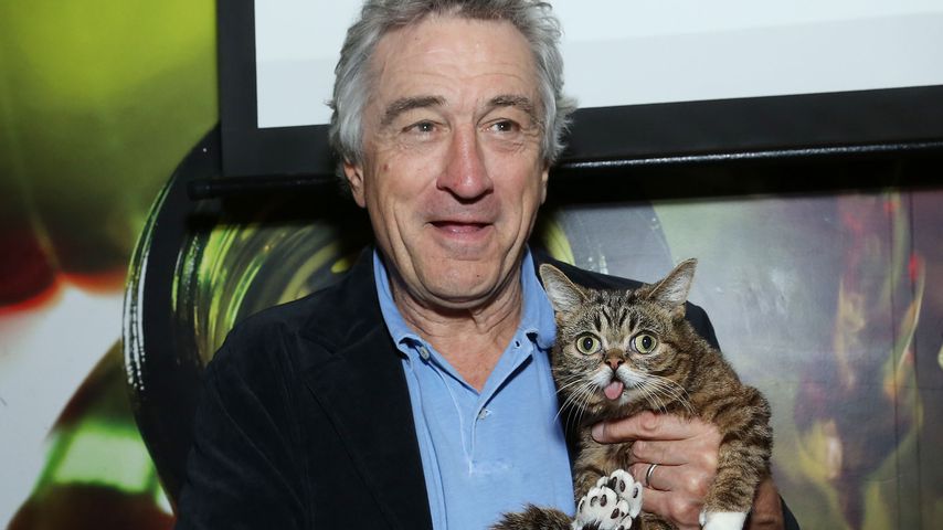 Robert De Niro und Lil Bub im April 2013