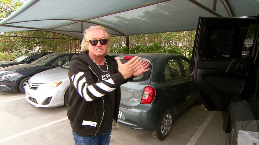 Robert Geiss, Fernsehstar