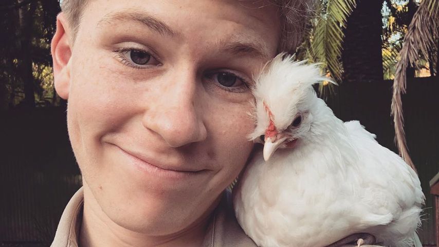 Robert Irwin im Mai 2020