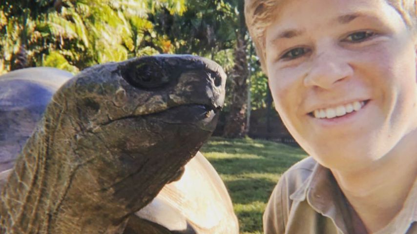 Mutig wie Papa Steve! Robert Irwin stellt Krokodil-Foto nach