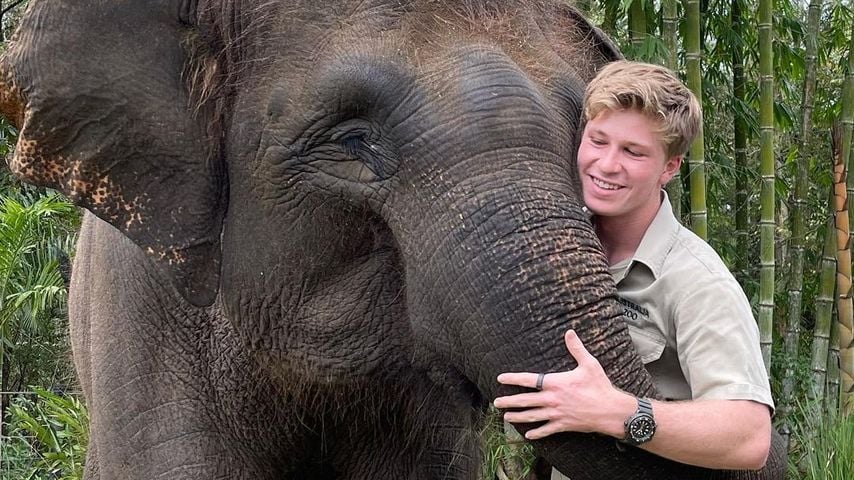 Robert Irwin, Tierfotograf