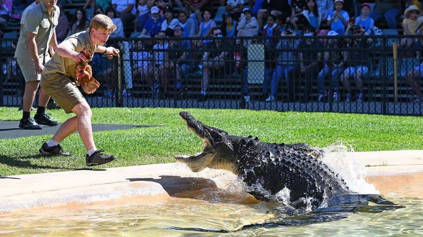 Robert Irwin und Steve Irwin