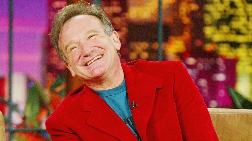 Robin Williams, 2004