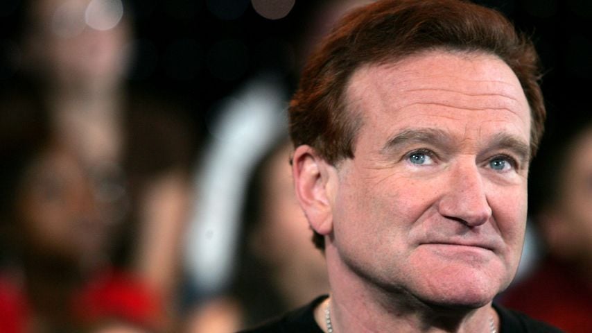 Schauspieler Robin Williams im Jahr 2006