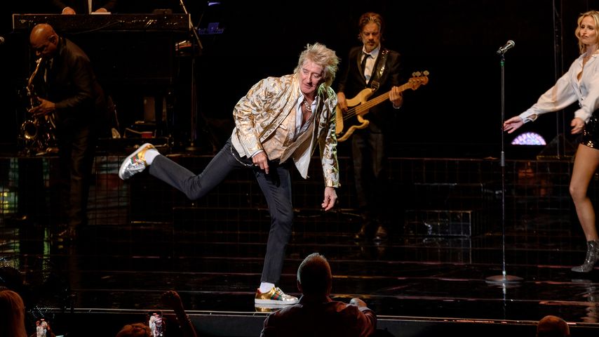 Rod Stewart, Musiker