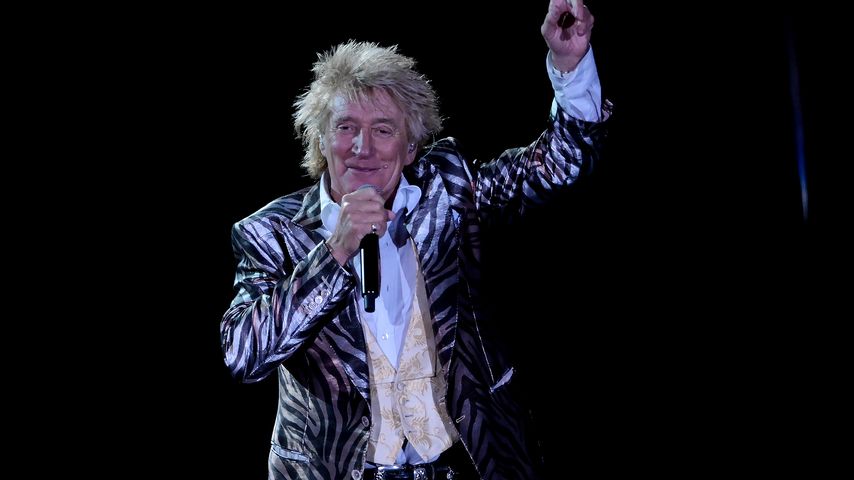 Rod Stewart, Musiker