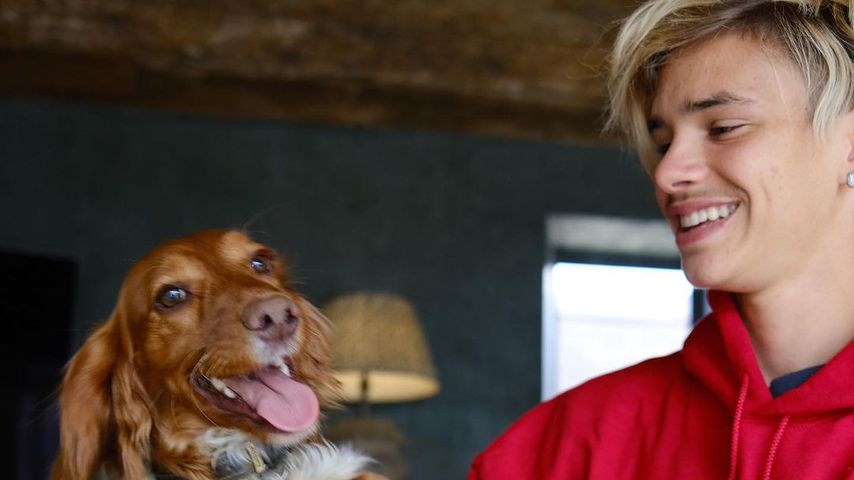 Beckham-Sprössling Romeo mit Familienhund Sage