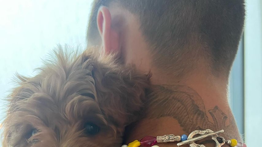 Romeo Beckham mit seinem Hündchen