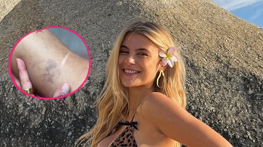 Romina Palm, Influencerin
