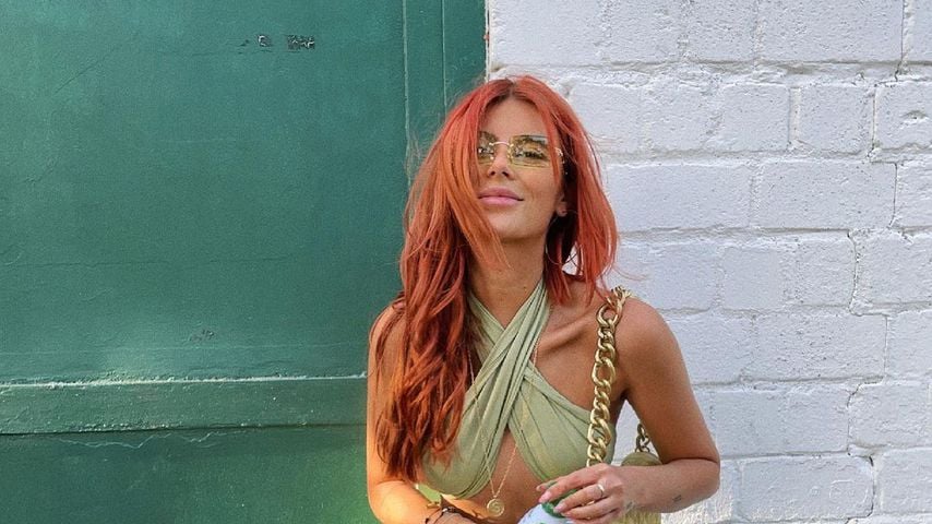 Romina Palm, Influencerin