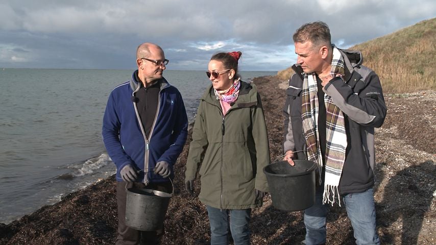 Ron, Nadine und David bei "Bauer sucht Frau International" 2026