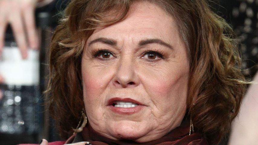 Roseanne Barr, Schauspielerin