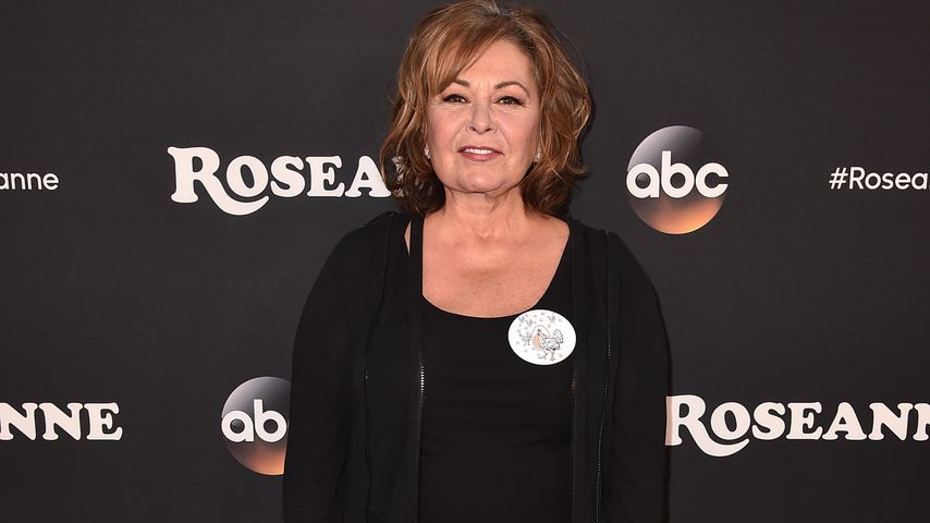 Nach Rassismus-Skandal: Sie steht Roseanne Barr jetzt bei!