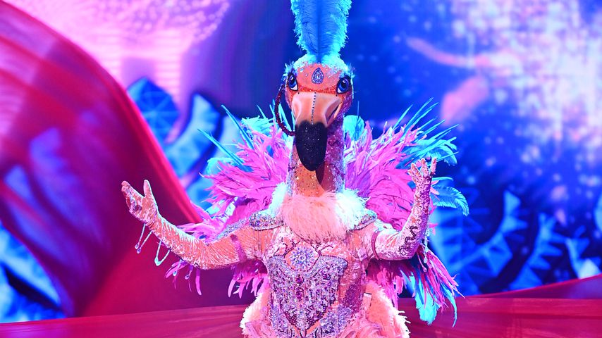 Ross Antony als Flamingo bei "The Masked Singer"