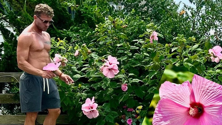 Schauspieler Ryan Phillippe