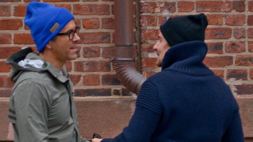 Neue Kumpels? Ryan Reynolds trifft zufällig Bradley Cooper