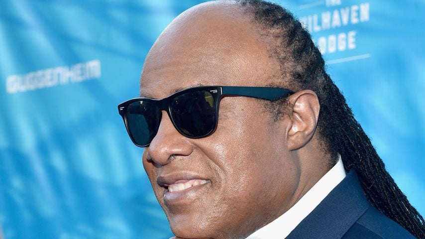 Sänger Stevie Wonder