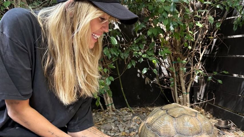 Sängerin Miley Cyrus adoptiert eine rund 20 Jahre alte Schildkröte aus Afrika, Mai 2026.