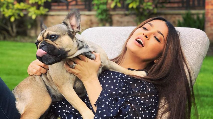 Salma Hayek im Mai 2020