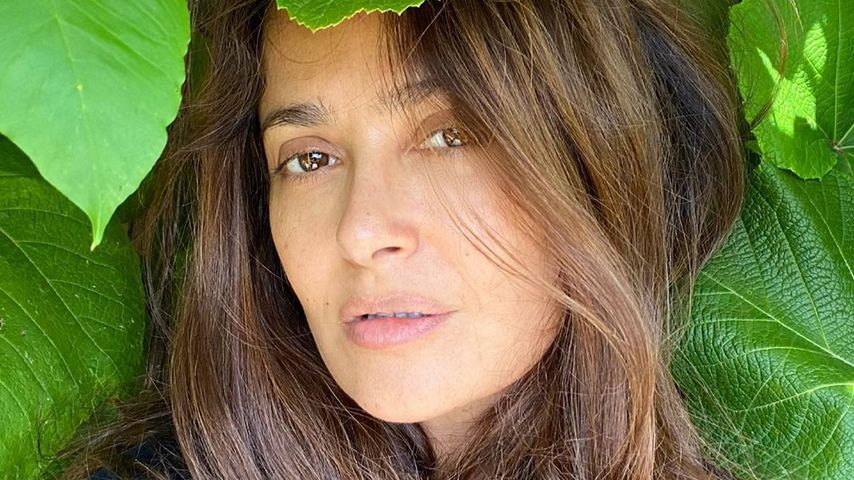 Salma Hayek, Schauspielerin