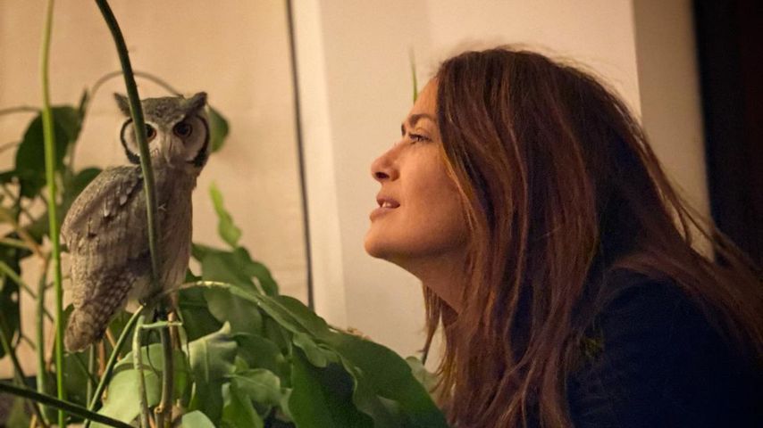 Salma Hayek und ihre Eule Kering