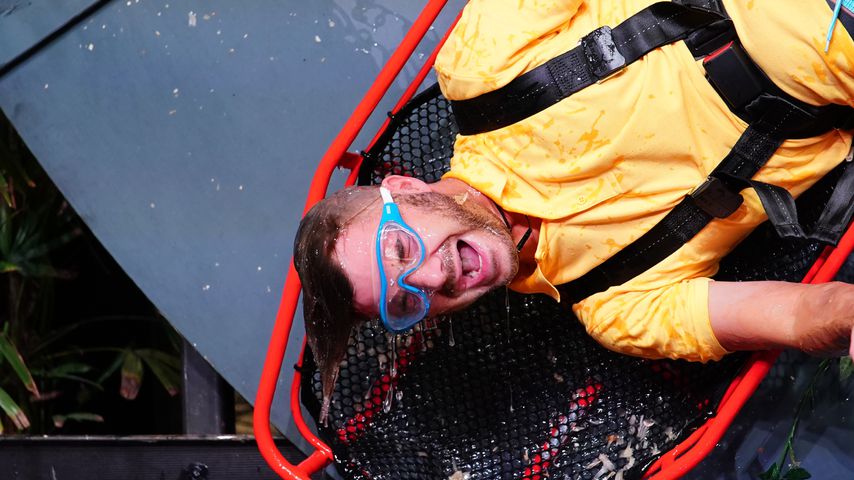 Sam Dylan in der Dschungelshow