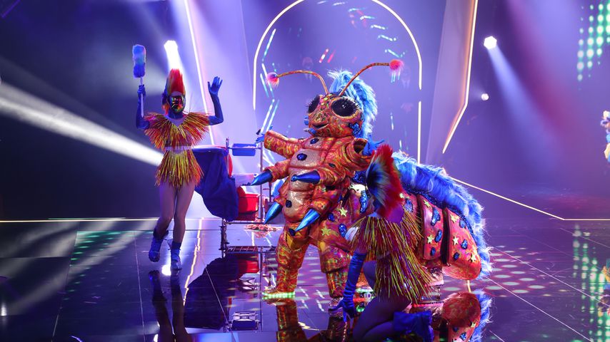 Die "The Masked Singer"-Raupe