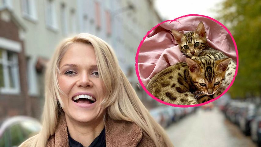 Tierischer Zuwachs: Sara Kulka ist jetzt auch Katzen-Mama