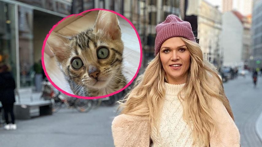 Tochter Matilda gebissen: Sara Kulka verteidigt ihre Katze