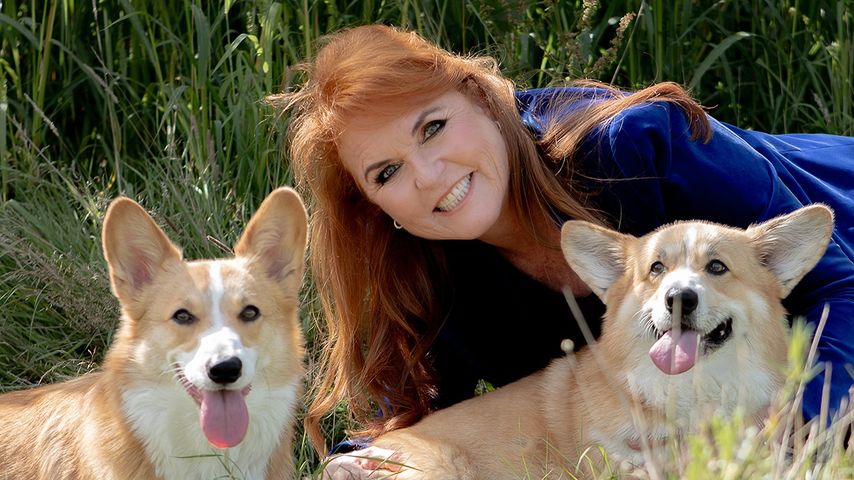 Sarah Ferguson fühlt durch Corgis Verbindung zur Queen (†)