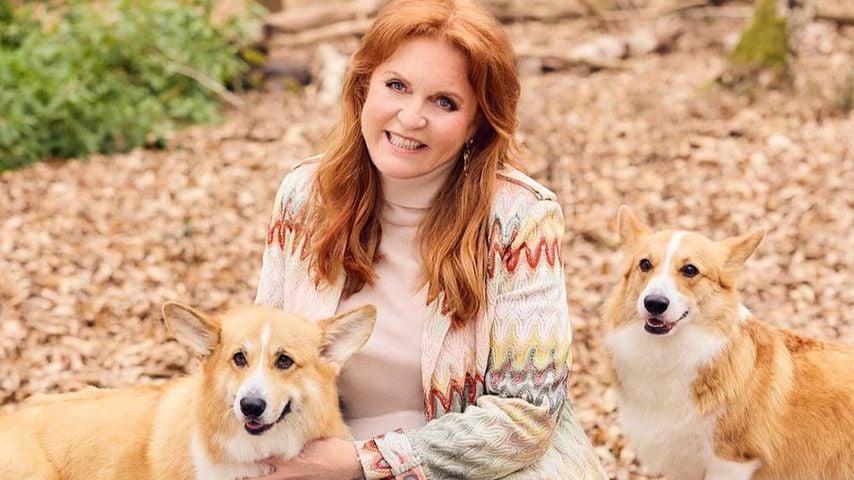 Zum Hundetag: Sarah Ferguson teilt putziges Foto mit Corgis