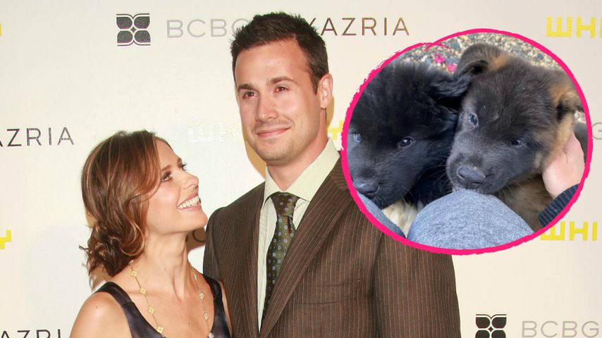Sarah Michelle Gellar und ihr Freddie haben zwei neue Welpen