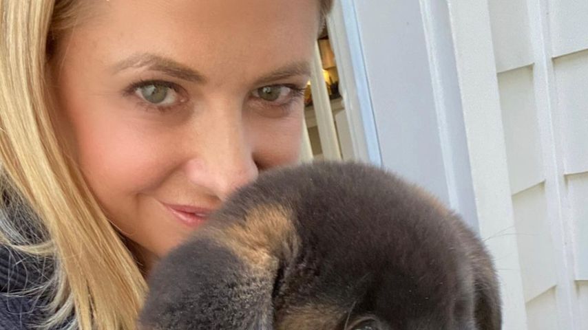 Sarah Michelle Gellar mit ihrem Welpen