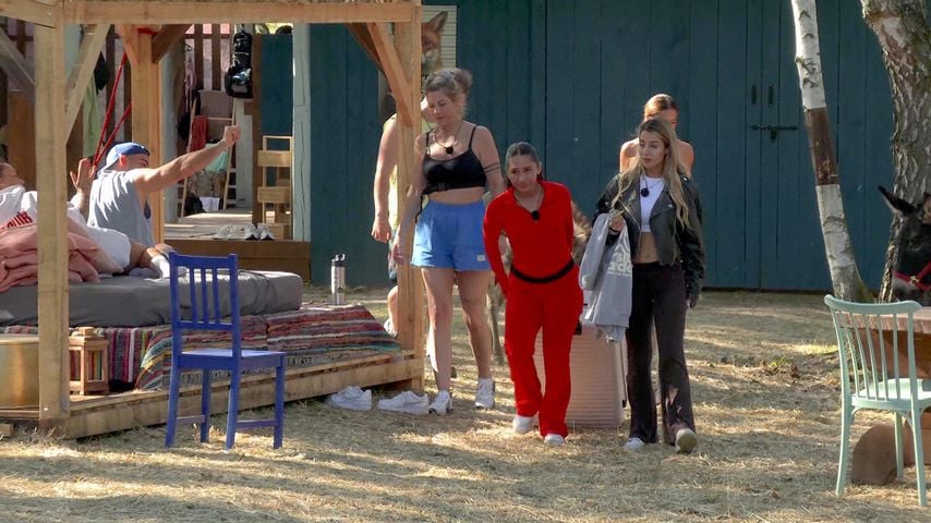 "Der Promihof"-Star muss Show krankheitsbedingt verlassen