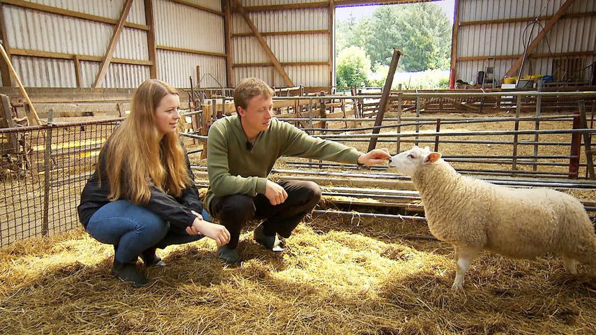 Saskia und Dirk bei "Bauer sucht Frau"