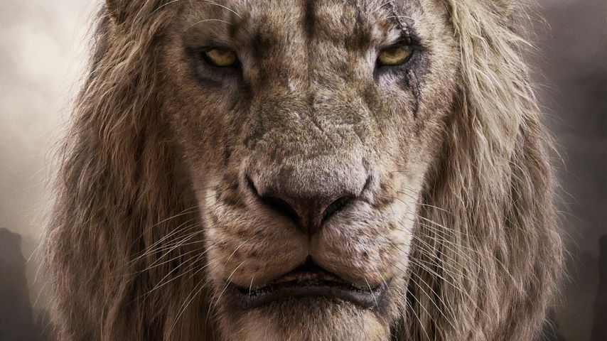 Scar aus dem "Der König der Löwen"-Remake