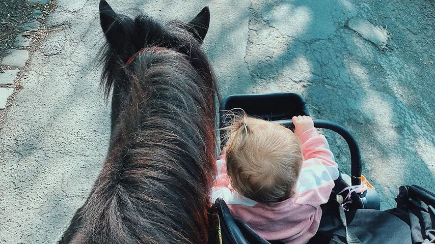 Scarlett Gartmann führt Pferd und Kind aus