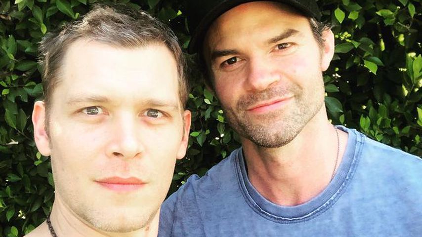Joseph Morgan und Daniel Gillies, "The Originals"-Darsteller