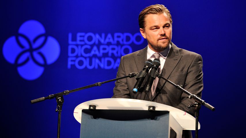 Schauspieler Leonardo DiCaprio, 2016
