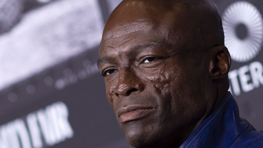 Seal im November 2018