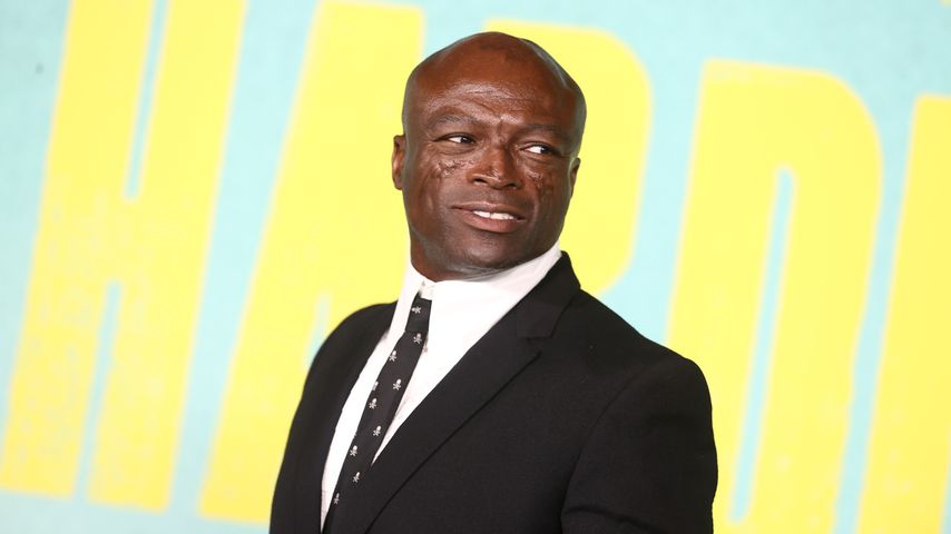Seal, Sänger