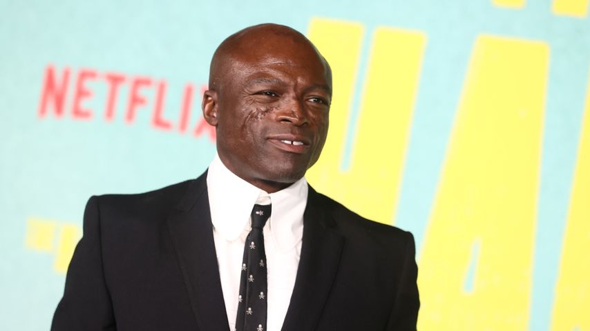 Seal, Musiker