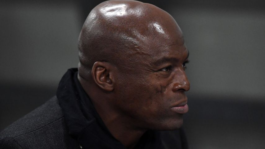 Seal im Jahr 2017