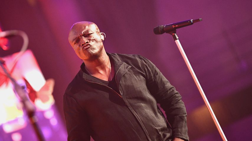 Seal im Mai 2019