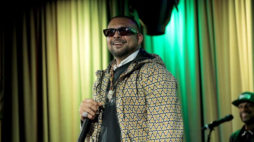 Sean Paul, Sänger