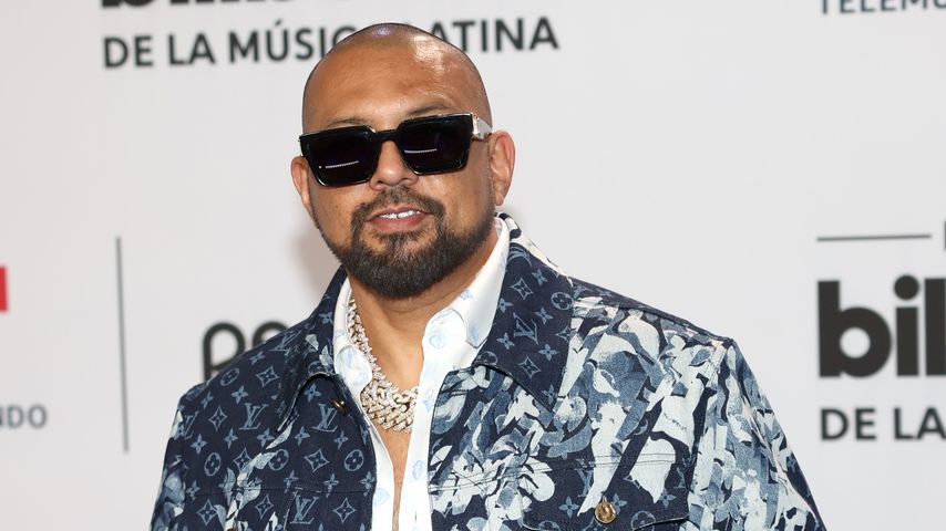 Sean Paul, Musiker