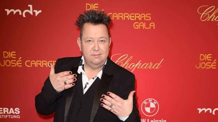 Sebastian Krumbiegel, Sänger
