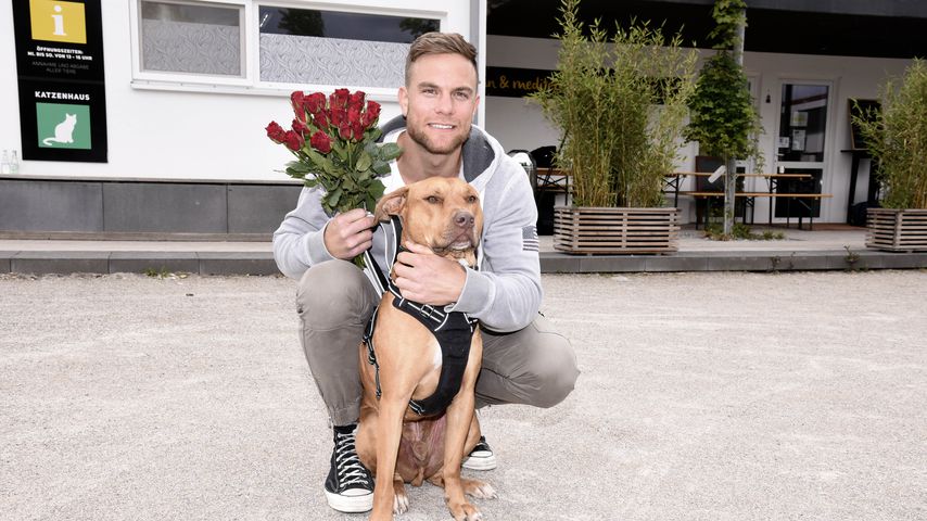 Überraschung! Bachelor Basti Preuss verteilt wieder Rosen