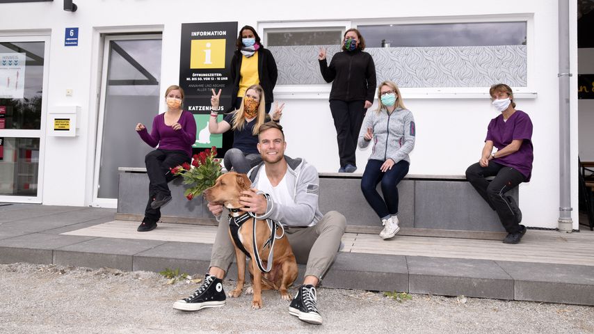 Sebastian Preuss im Münchner Tierheim