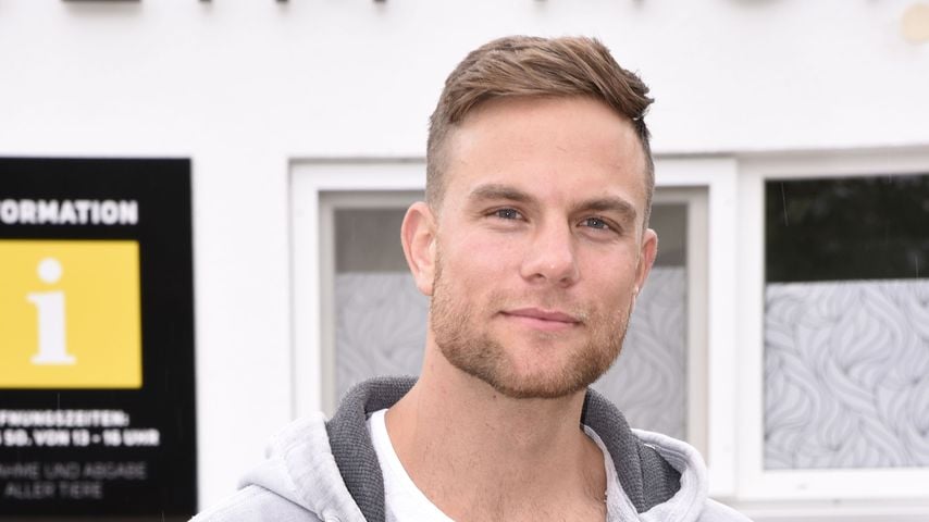 Sebastian Preuss, Bachelor 2020